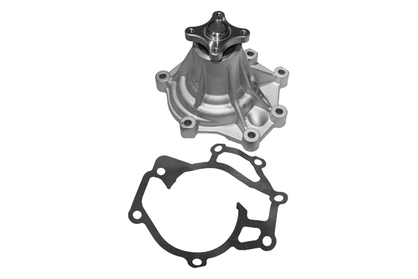SCHAEFFLER INA Vandpumpe 538066010 for KIA