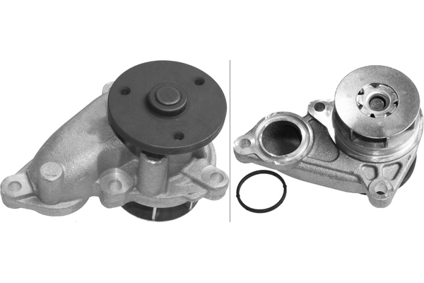 SCHAEFFLER INA Vandpumpe 538067110 for KIA