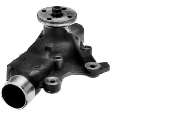 SCHAEFFLER INA Vandpumpe 538068410 for CHRYSLER