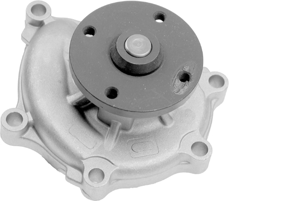SCHAEFFLER INA Vandpumpe 538069310 for KIA