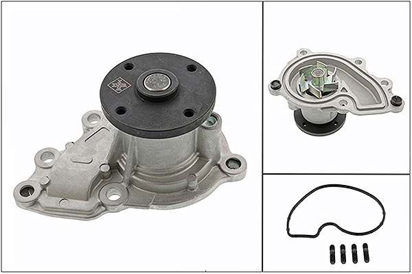 SCHAEFFLER INA Vandpumpe 538069610 for KIA