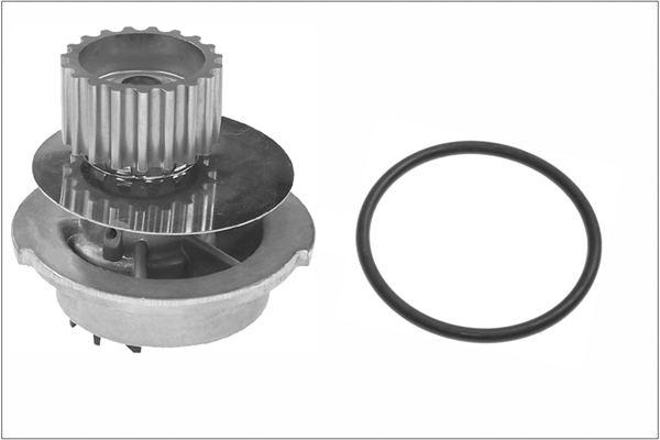 SCHAEFFLER INA Vandpumpe 538069710 for DAEWOO