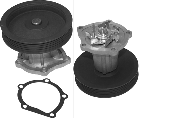 SCHAEFFLER INA Vandpumpe 538069910 for CHEVROLET (SGM) CHEVROLET