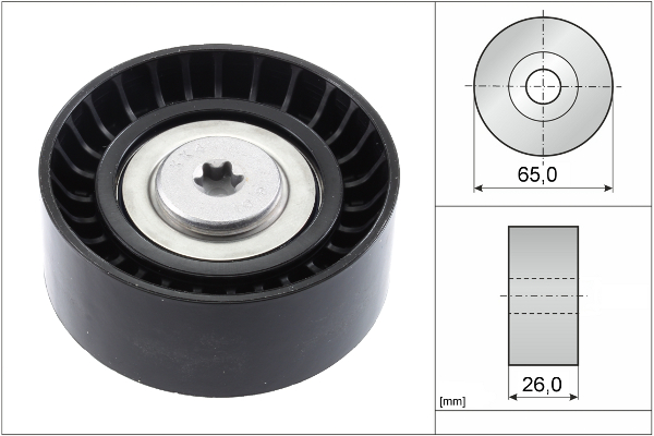 SCHAEFFLER INA Medløberhjul, multi-V-rem 532074810 for BMW
