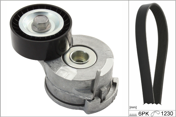 SCHAEFFLER INA Kileremssæt 529029210 for VAUXHALL PEUGEOT