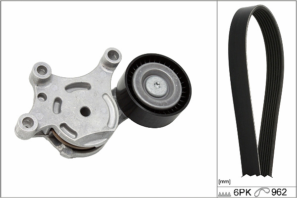 SCHAEFFLER INA Kileremssæt 529029810 for PEUGEOT FORD VOLVO LEXUS