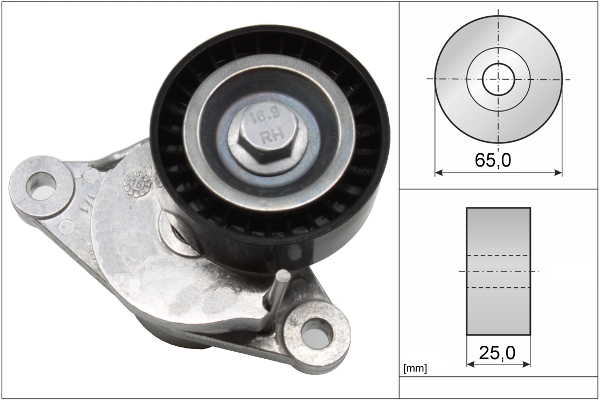 SCHAEFFLER INA Remstrammer, kilerem 534065510 for PEUGEOT