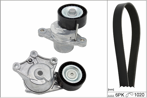 SCHAEFFLER INA Kileremssæt 529032310 for PEUGEOT DS