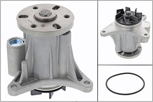 SCHAEFFLER INA Vandpumpe 538081610 for JAGUAR LAND ROVER