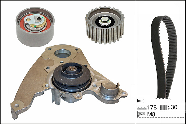 SCHAEFFLER INA Vandpumpe + tandremssæt 530023230 for FIAT IVECO