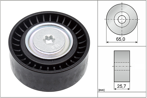 SCHAEFFLER INA Medløberhjul, multi-V-rem 532090710 for OPEL FIAT PEUGEOT