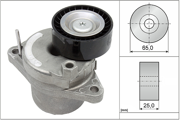 SCHAEFFLER INA Remstrammer, kilerem 534065810 for OPEL PEUGEOT LEXUS