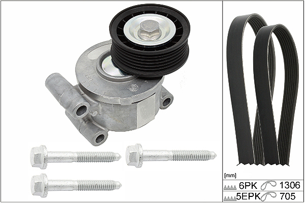 SCHAEFFLER INA Kileremssæt 529019210 for FORD VOLVO
