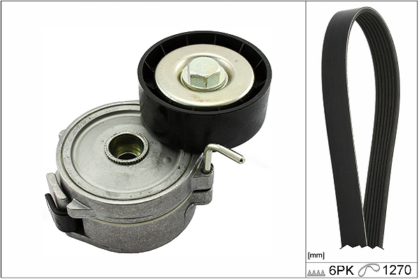 SCHAEFFLER INA Kileremssæt 529031510 for FORD