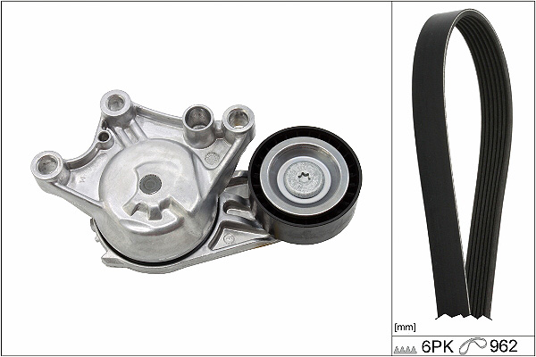 SCHAEFFLER INA Kileremssæt 529033510 for VAUXHALL DS PEUGEOT TOYOTA