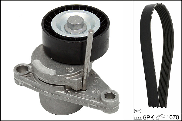SCHAEFFLER INA Kileremssæt 529034410 for PEUGEOT PEUGEOT (DF-PSA)