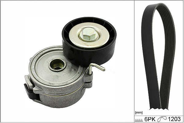 SCHAEFFLER INA Kileremssæt 529035710 for PEUGEOT LANCIA FIAT LAND ROVER