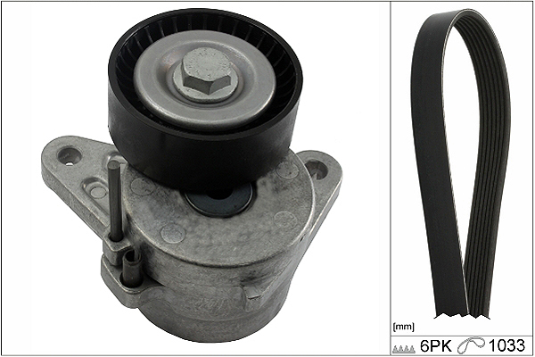 SCHAEFFLER INA Kileremssæt 529036710 for VW