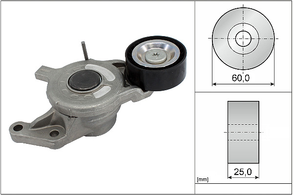 SCHAEFFLER INA Remstrammer, kilerem 534065710 for OPEL FIAT PEUGEOT TOYOTA DS