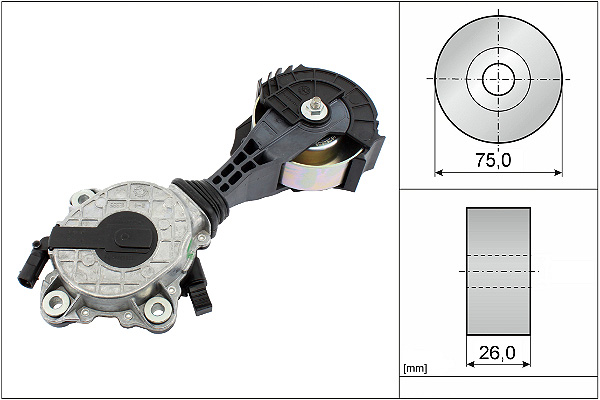 SCHAEFFLER INA Remstrammer, kilerem 534042510 for VAUXHALL MINI