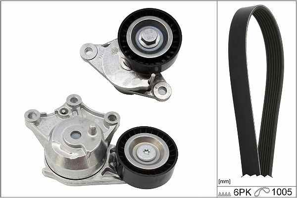SCHAEFFLER INA Kileremssæt 529035810 for PEUGEOT DS