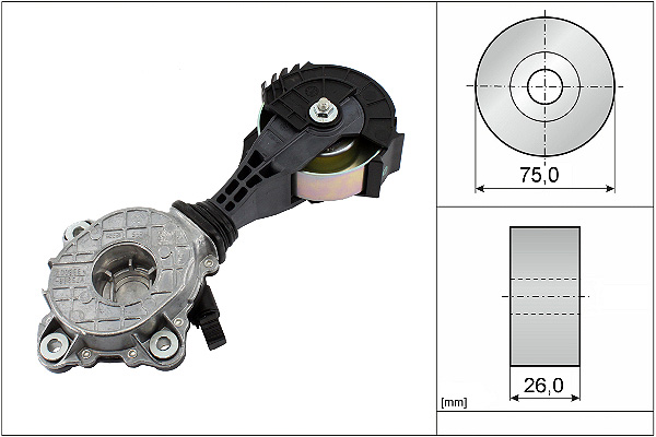 SCHAEFFLER INA Remstrammer, kilerem 534042610 for CITROËN PEUGEOT BMW MINI