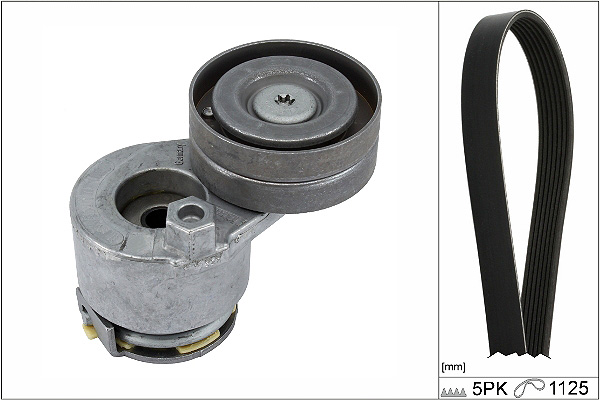 SCHAEFFLER INA Kileremssæt 529042710 for VAUXHALL VOLVO NISSAN DACIA MITSUBISHI