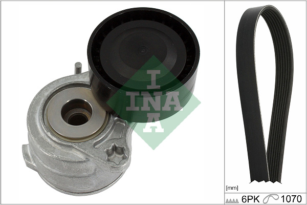 SCHAEFFLER INA Kileremssæt 529042010 for PEUGEOT VAUXHALL DS
