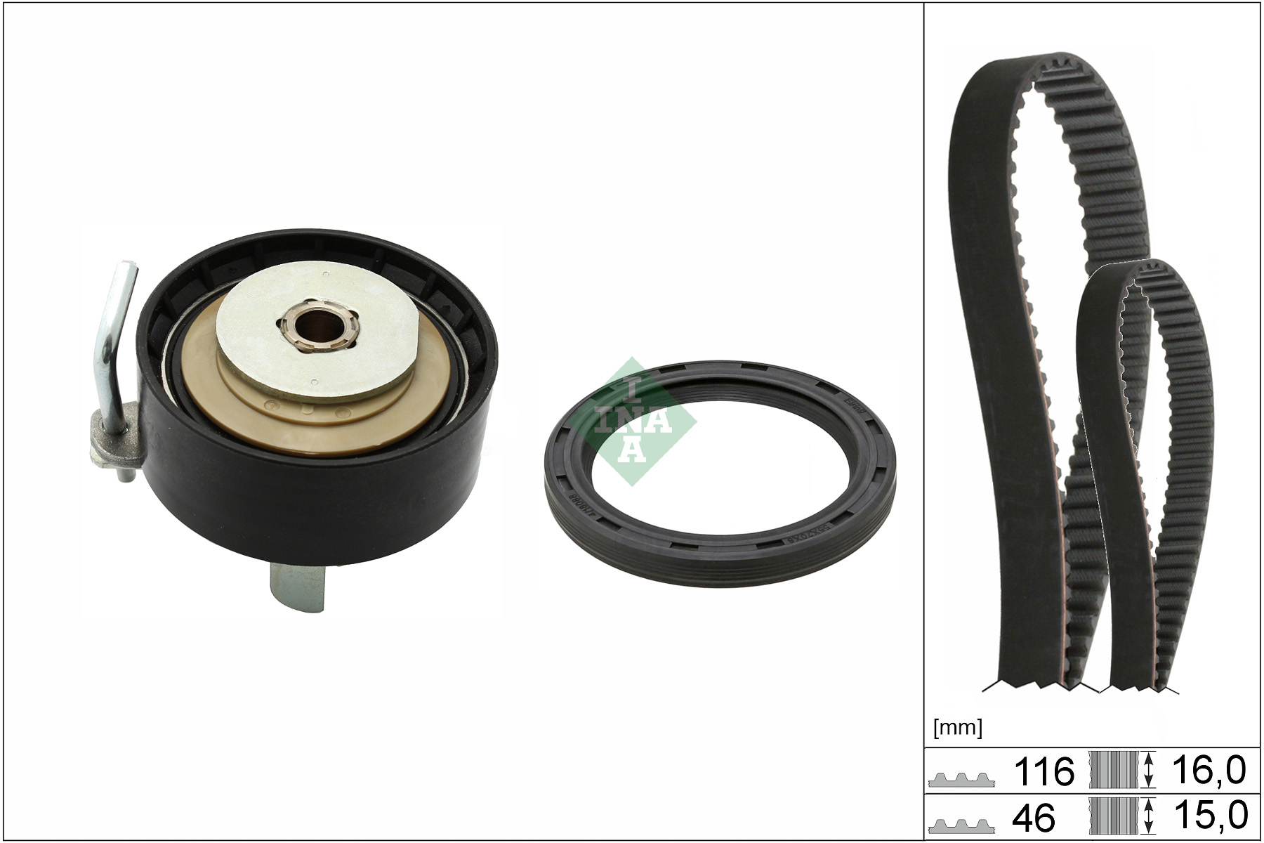 SCHAEFFLER INA Tandremssæt 530096010 for FORD