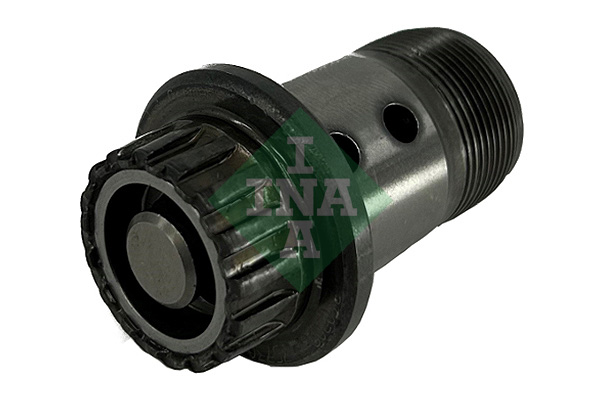 SCHAEFFLER INA Centralventil, knastakselforstilling 427 0183 10 for FORD