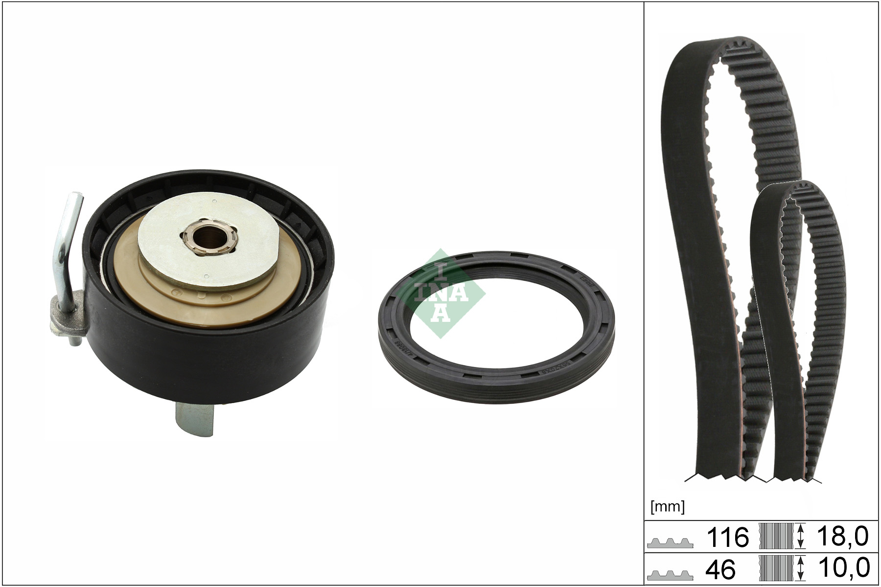 SCHAEFFLER INA Tandremssæt 530095910 for FORD