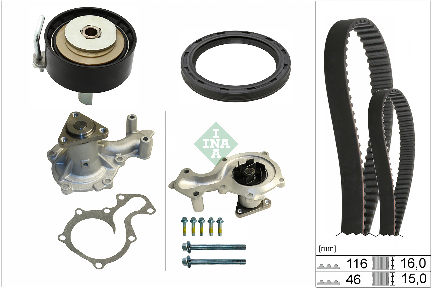 SCHAEFFLER INA Vandpumpe + tandremssæt 530096030 for FORD