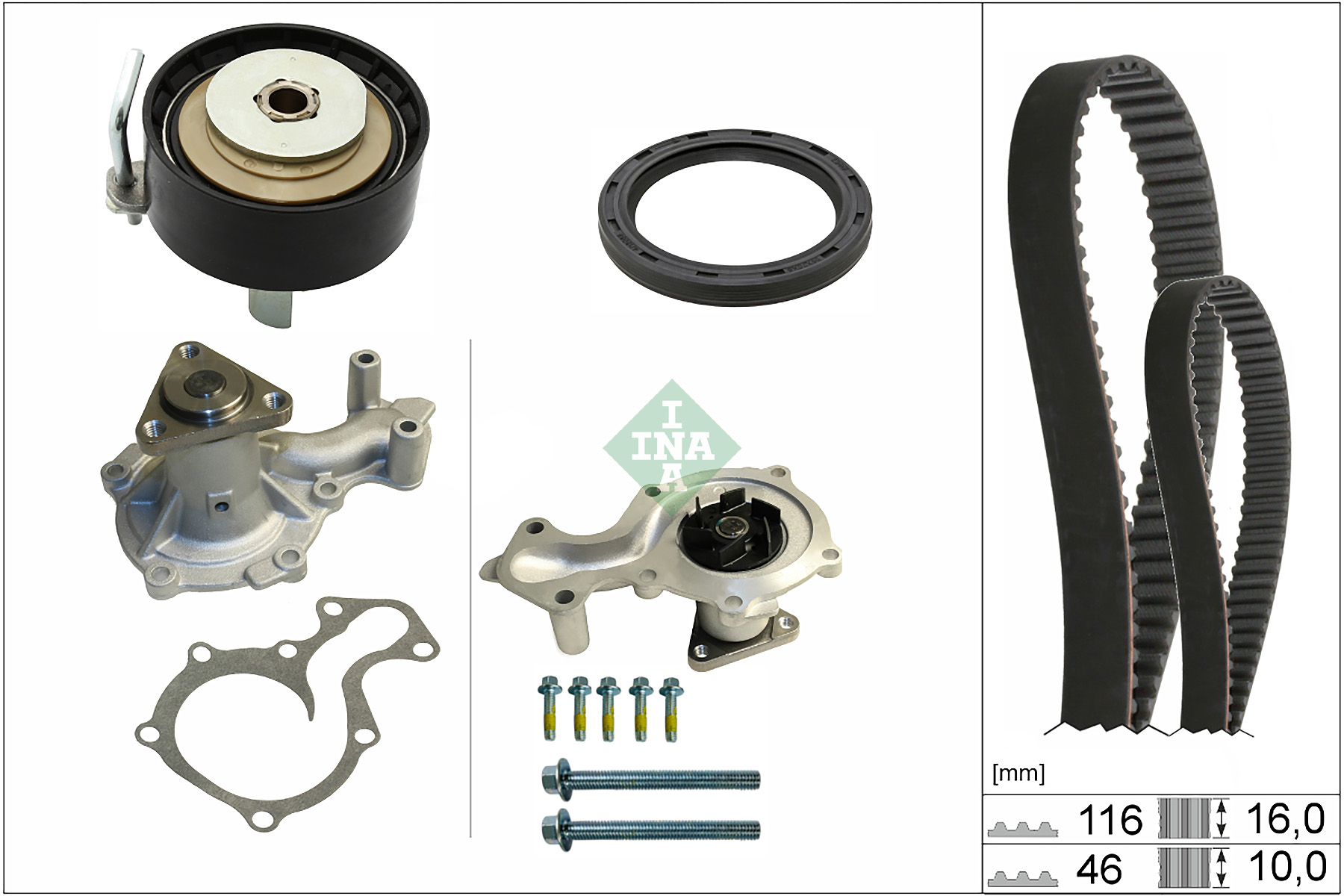 SCHAEFFLER INA Vandpumpe + tandremssæt 530095830 for FORD