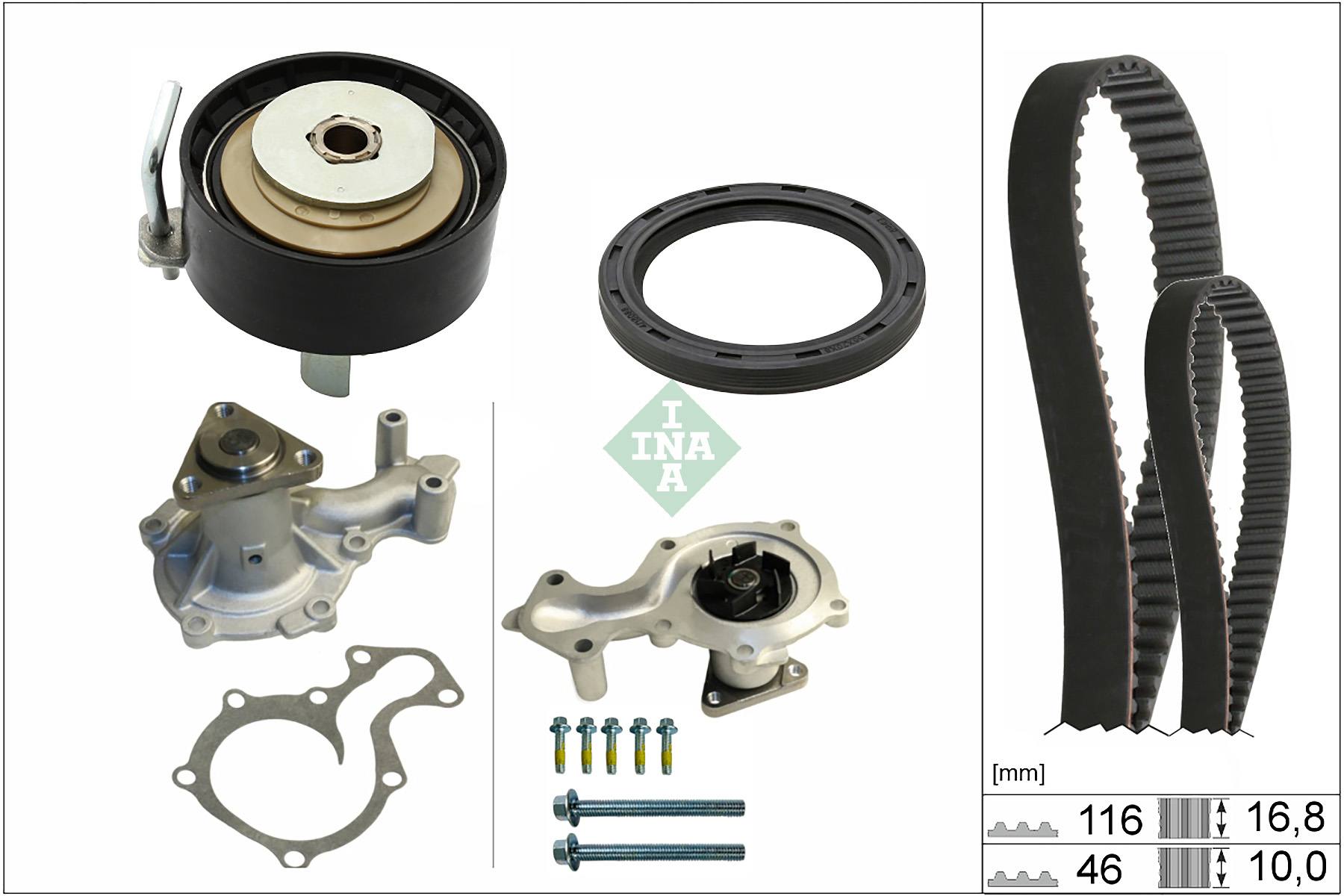 SCHAEFFLER INA Vandpumpe + tandremssæt 530096130 for FORD