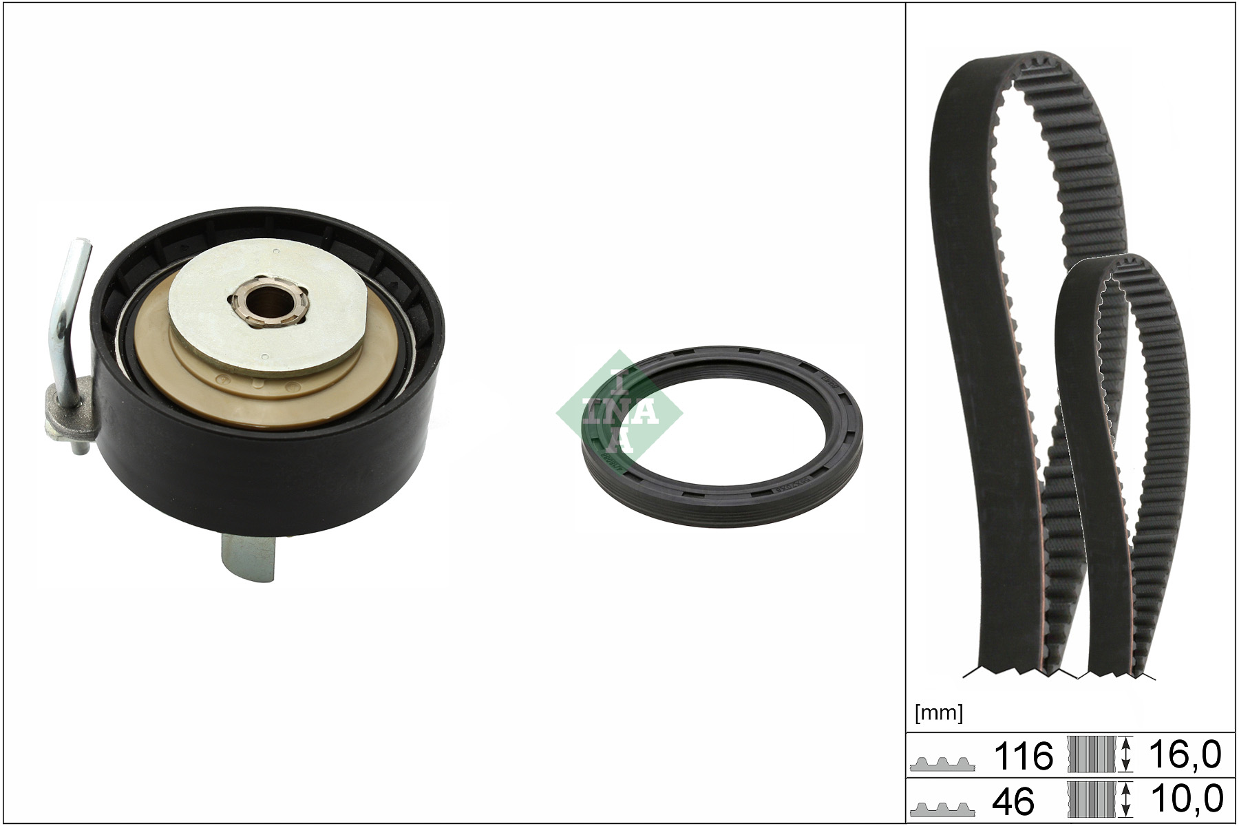 SCHAEFFLER INA Tandremssæt 530095810 for FORD