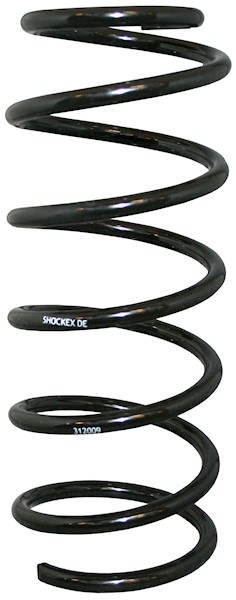 JP GROUP Fjeder 1242200100 foraksel for OPEL GENERAL MOTORS