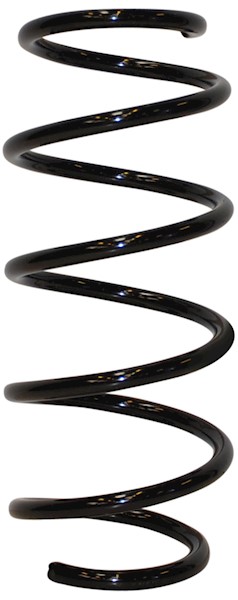 JP GROUP Fjeder 1242202200 foraksel for OPEL GENERAL MOTORS