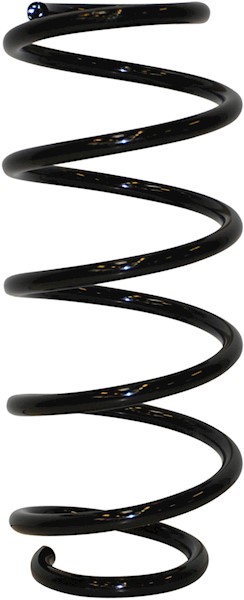 JP GROUP Fjeder 1242203200 foraksel for OPEL GENERAL MOTORS