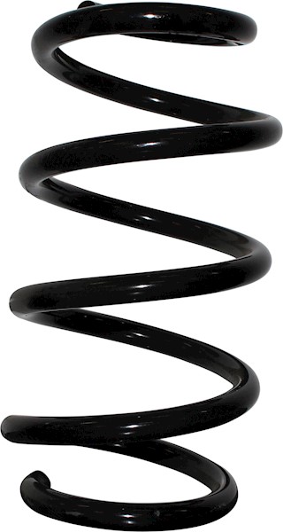 JP GROUP Fjeder 1242203400 foraksel for OPEL GENERAL MOTORS RENAULT
