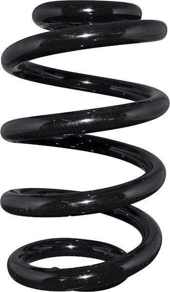 JP GROUP Fjeder 1242206100 foraksel for OPEL GENERAL MOTORS NISSAN RENAULT