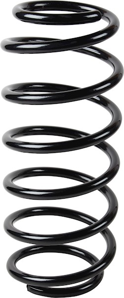 JP GROUP Fjeder 1242207400 foraksel for OPEL GENERAL MOTORS