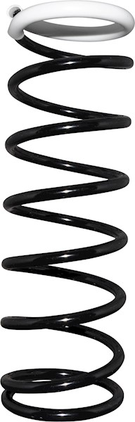 JP GROUP Fjeder 1552201100 bagaksel for FORD MAZDA