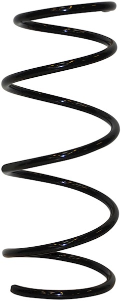 JP GROUP Fjeder 4342204100 foraksel for RENAULT