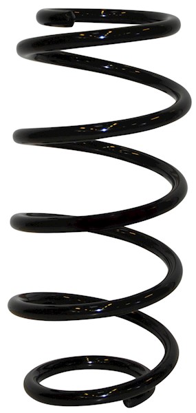 JP GROUP Fjeder 1242204800 foraksel for OPEL GENERAL MOTORS