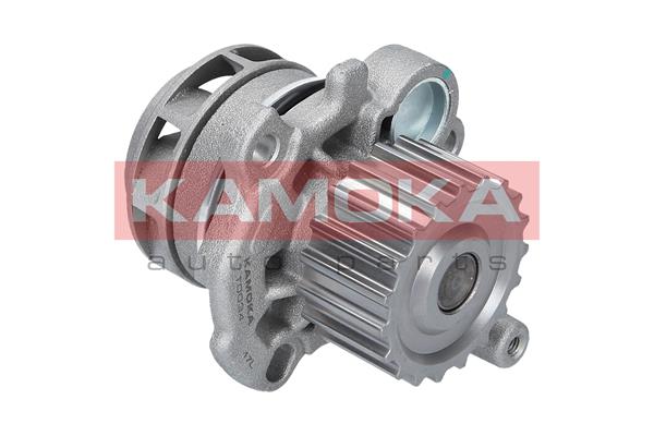 KAMOKA Vandpumpe t0034 for VAG VW SKODA