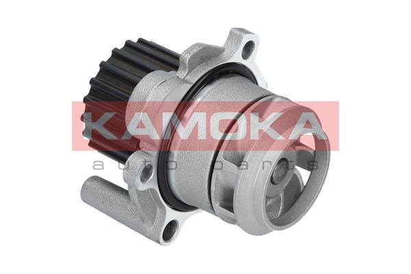 KAMOKA Vandpumpe t0253 for VAG