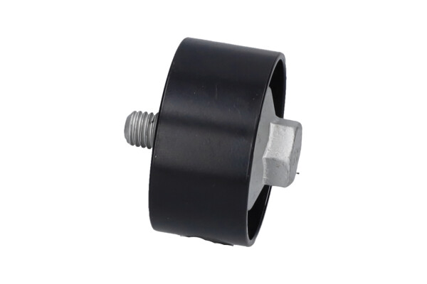 KAVO PARTS Medløberhjul, multi-V-rem dip3029 for KIA