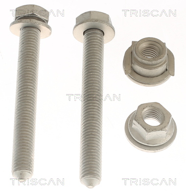 TRISCAN 850011421 for BMW