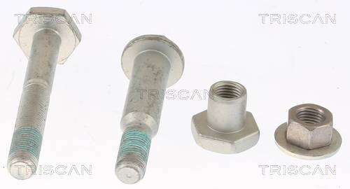 TRISCAN 850025403 for RENAULT