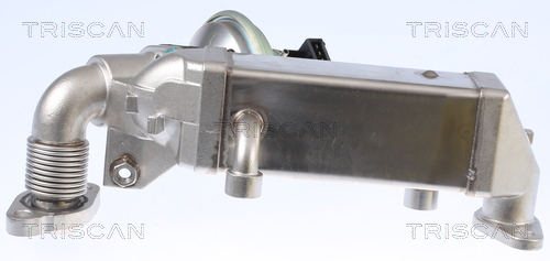 TRISCAN EGR-ventil 8813 11009 for BMW
